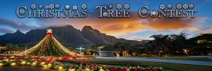 Christmas Tree Contest banner with a nighttime holiday light display