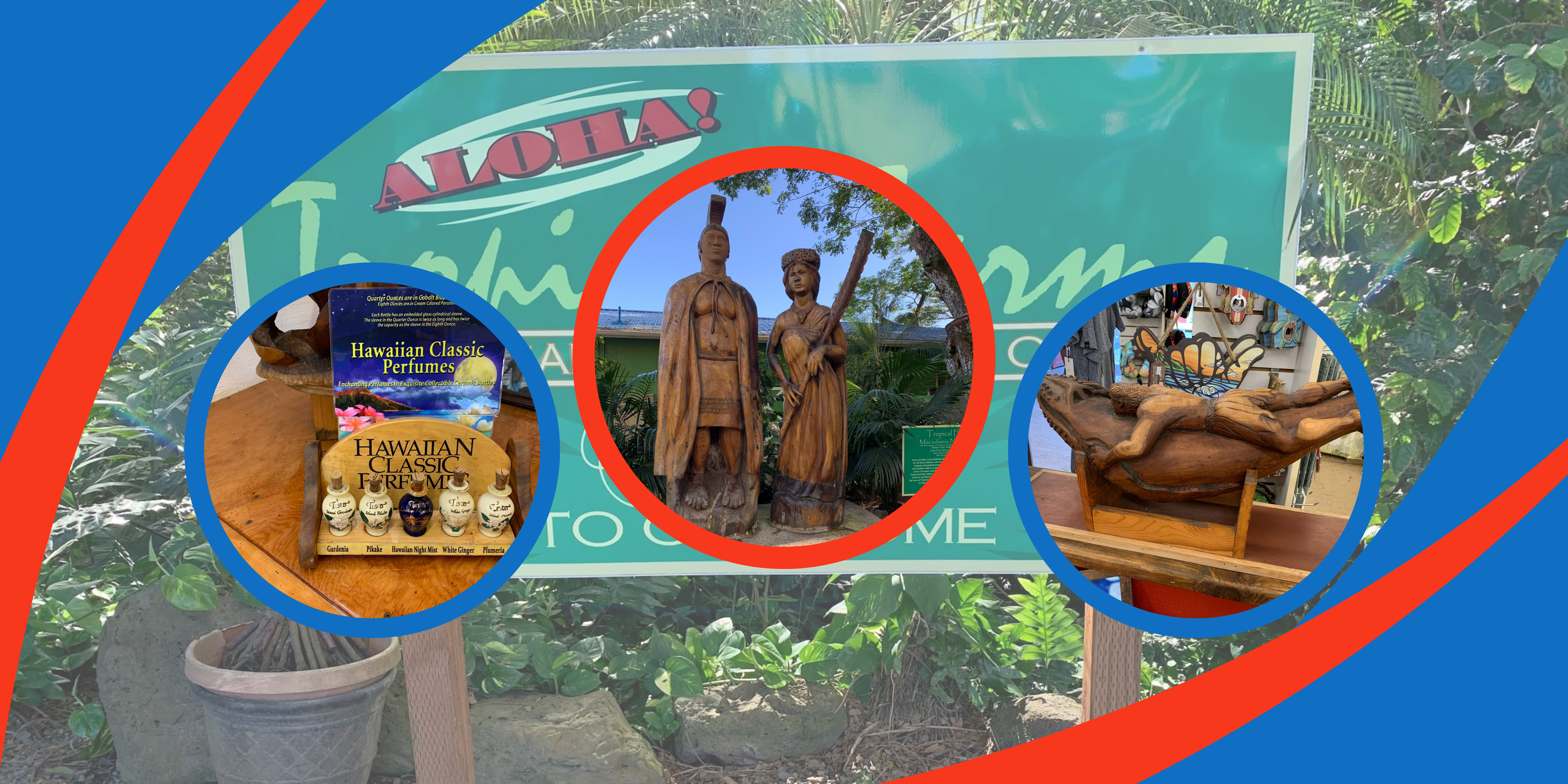 Macadamia nut farm guide collage: welcome sign, wooden statues, and gift shop displays