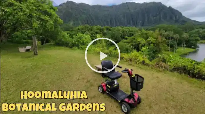 Video: mobility scooter parked on a lawn overlooking Hoomaluhia Botanical Garden's lake and mountains